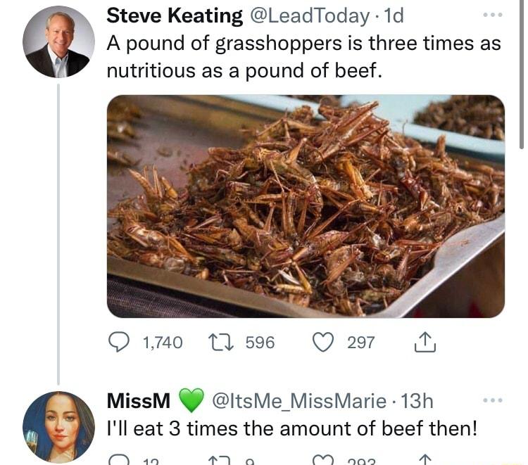 Steve Keating LeadToday 1d A pound of grasshoppers is three times as nutritious as a pound of beef Q1o Msee Q27 N MissM itsMe_MissMarie 13h Il eat 3 times the amount of beef then s o P e e