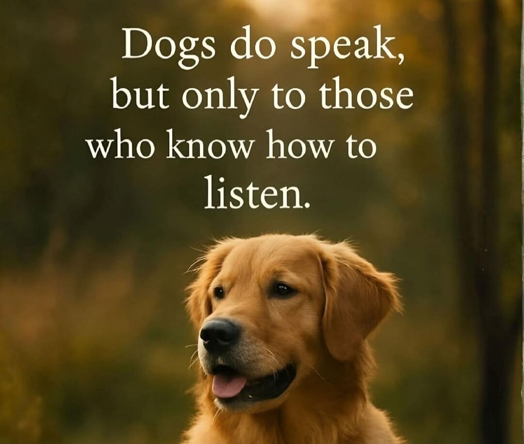 Dogs do speak, but only to those who know how to listen.