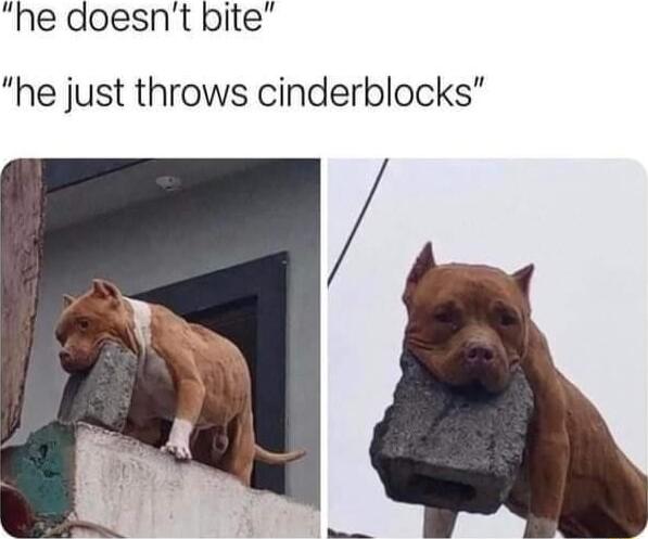 he doesnt bite he just throws cinderblocks
