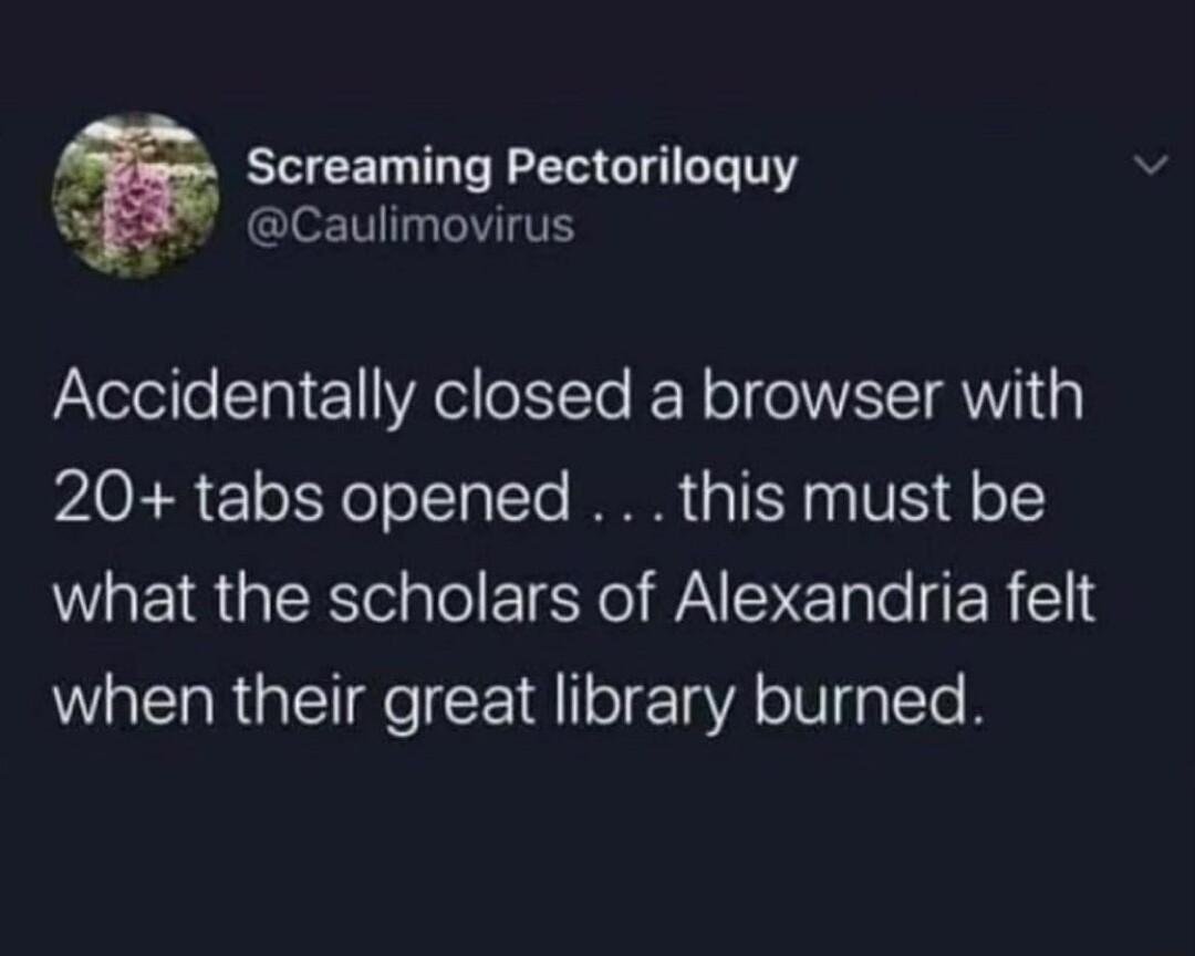 Screaming Pectoriloquy SRR caulimovirus Accidentally closed a browser with VAR oTYoTo 1 TTe I 311 VS oY what the scholars of Alexandria felt when their great library burned