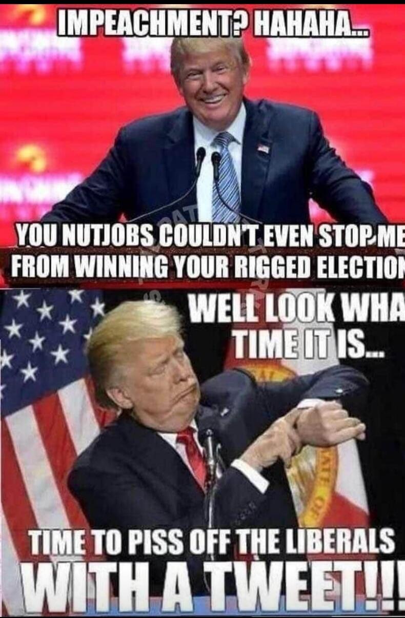 IMPEACHMENT? HAHAHA... YOU NUTJOBS COULDN'T EVEN STOP ME FROM WINNING YOUR RIGGED ELECTION. WELL LOOK WHAT TIME IT IS... TIME TO PISS OFF THE LIBERALS WITH A TWEET!!