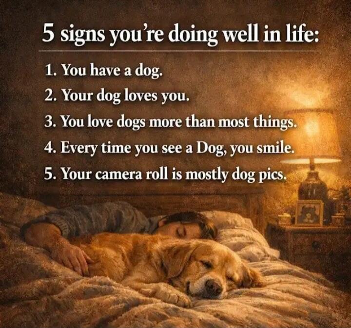 5 signs you're doing well in life: 1. You have a dog. 2. Your dog loves you. 3. You love dogs more than most things. 4. Every time you see a Dog, you smile. 5. Your camera roll is mostly dog pics.