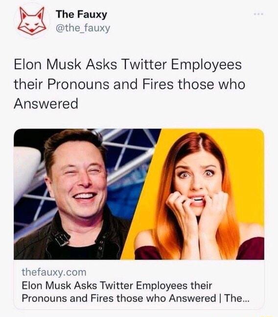 The Fauxy the_fauxy Elon Musk Asks Twitter Employees their Pronouns and Fires those who Answered thefauxycom Elon Musk Asks Twitter Employees their Pronouns and Fires those who Answered The