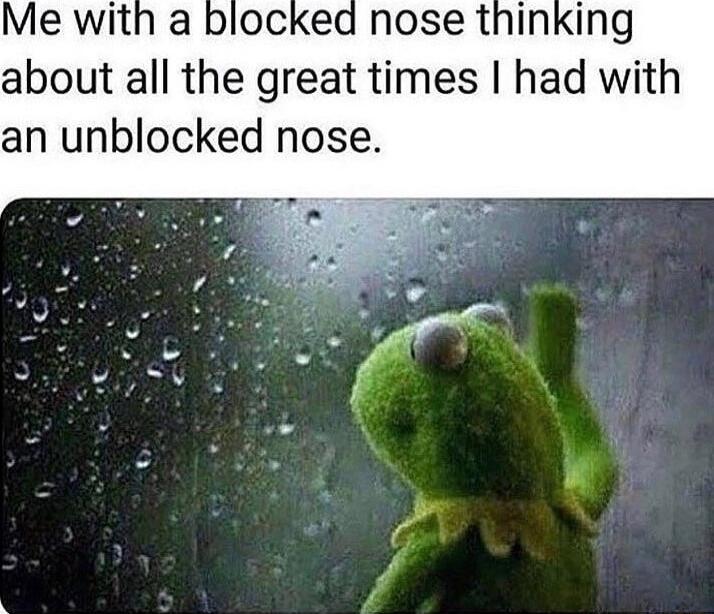 Me with a blocked nose thinking about all the great times had with an unblocked nose