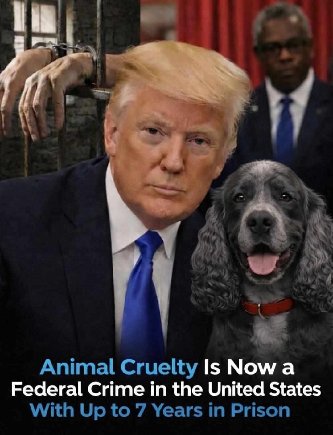 Animal Cruelty Is Now a Federal Crime in the United States With Up to 7 Years in Prison