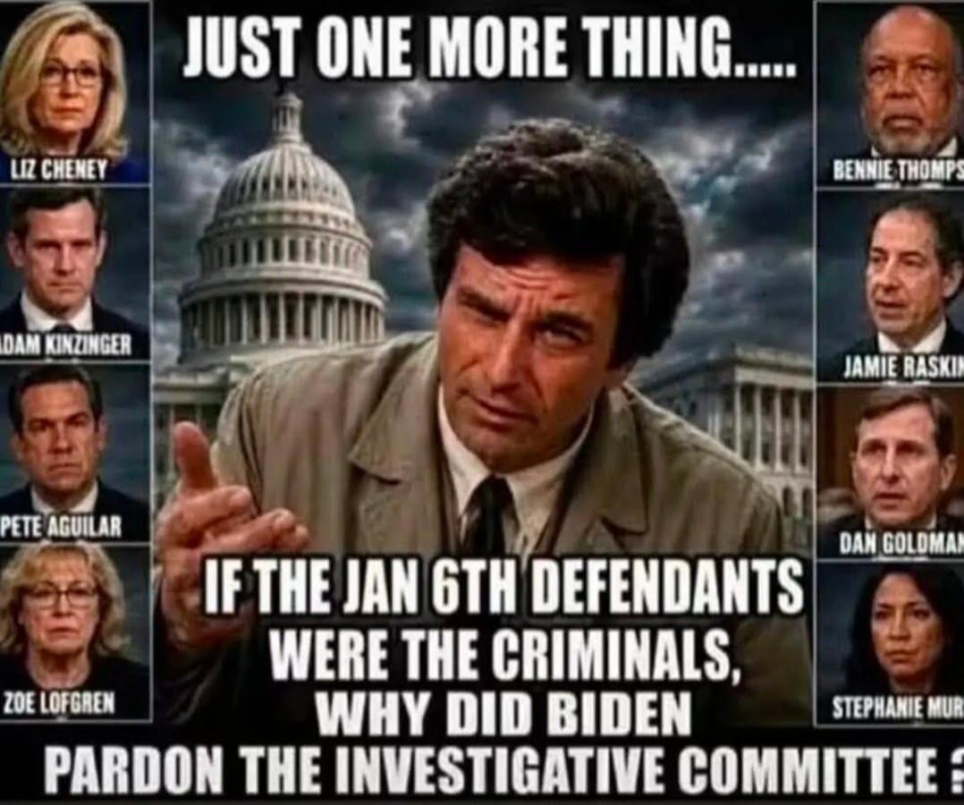 JUST ONE MORE THING..... IF THE JAN 6TH DEFENDANTS WERE THE CRIMINALS, WHY DID BIDEN PARDON THE INVESTIGATIVE COMMITTEE? Liz Cheney, Adam Kinzinger, Pete Aguilar, Zoe Lofgren, Bennie Thompson, Jamie Raskin, Dan Goldman, Stephanie Murph.