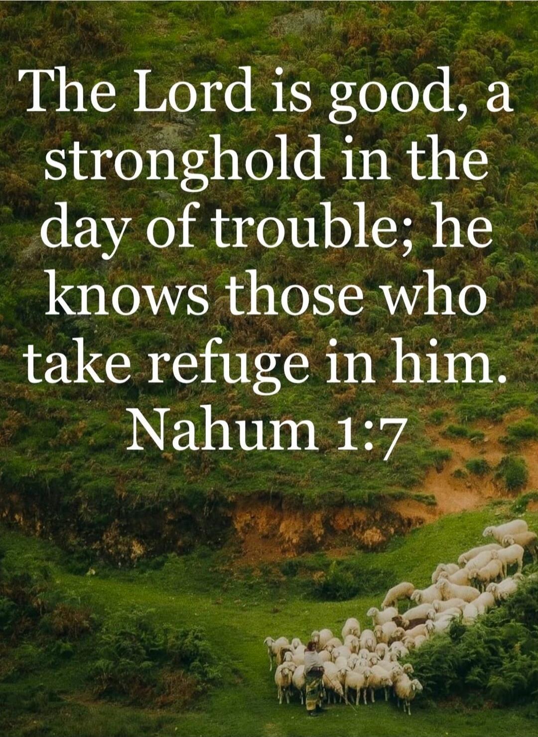 The Lord is good, a stronghold in the day of trouble; he knows those who take refuge in him. Nahum 1:7