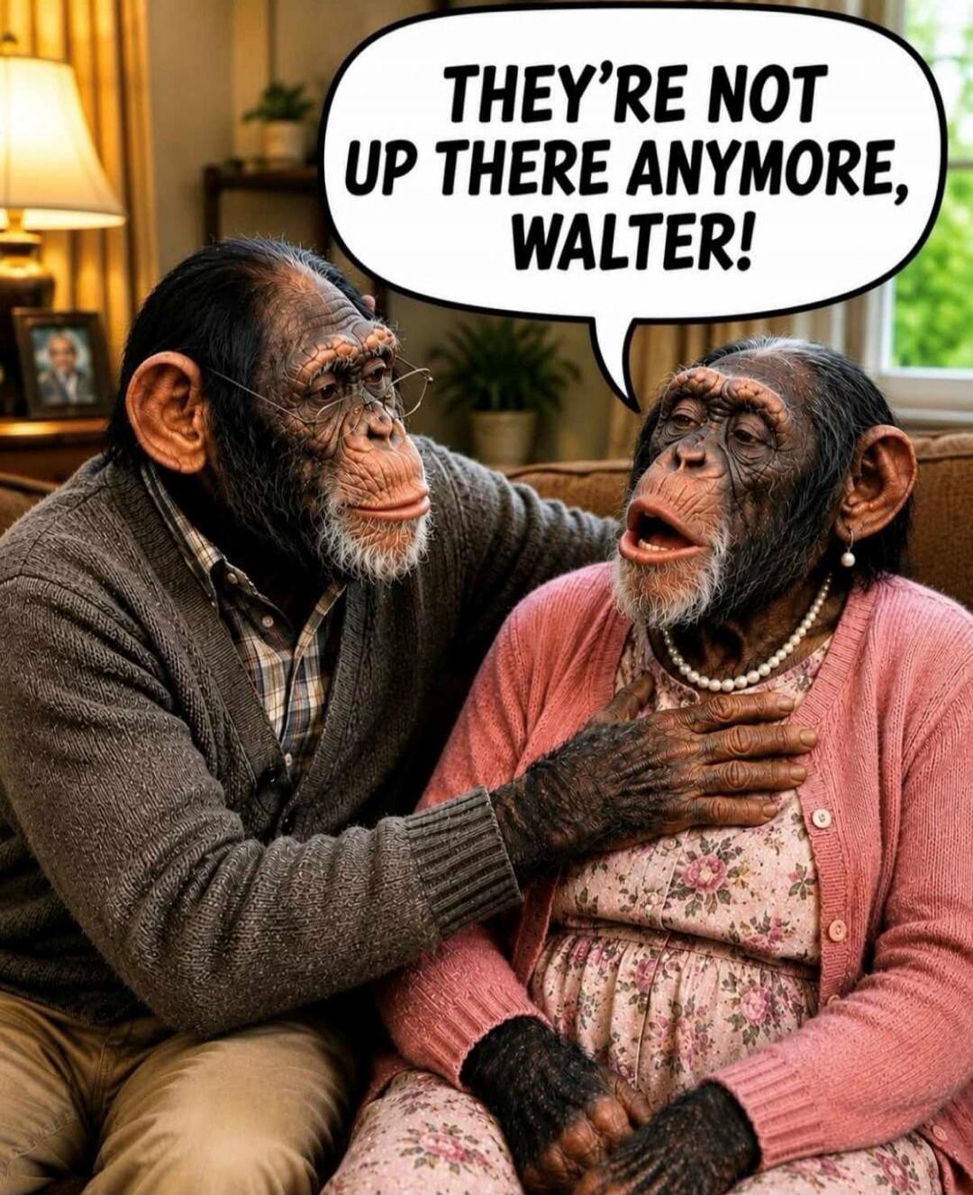 THEY'RE NOT UP THERE ANYMORE, WALTER!