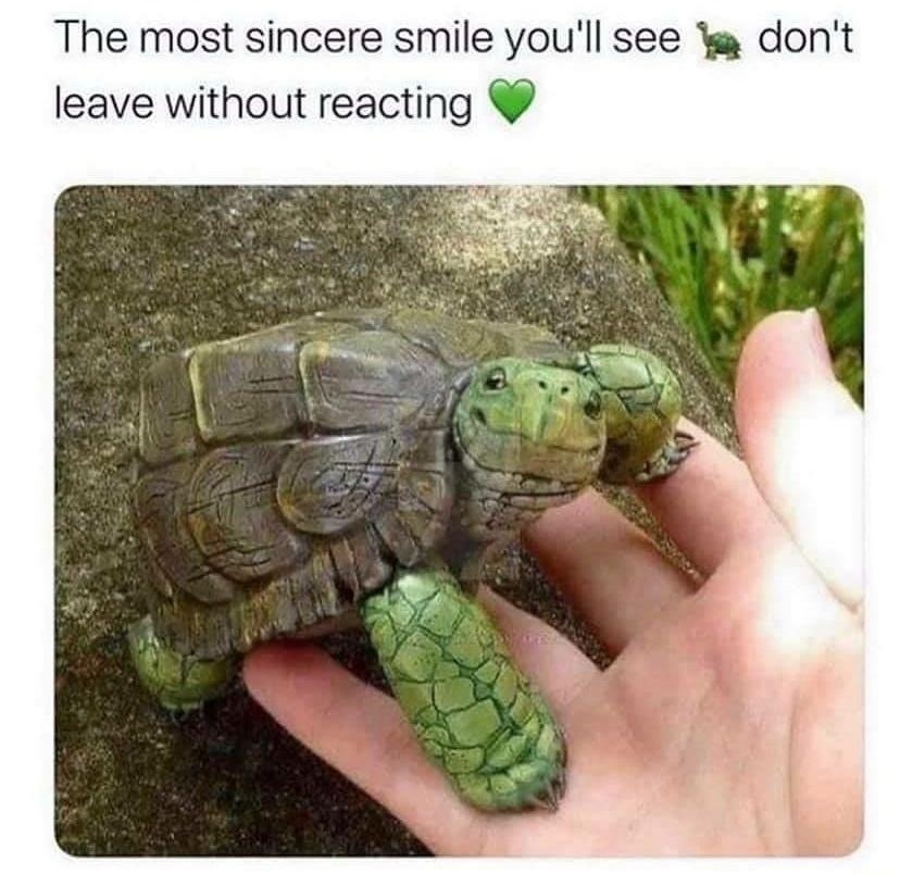 The most sincere smile youll see a dont leave without reacting