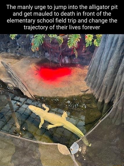 The manly urge to jump into the alligator pit and get mauled to death in front of the elementary school field trip and change the trajectory of their lives forever