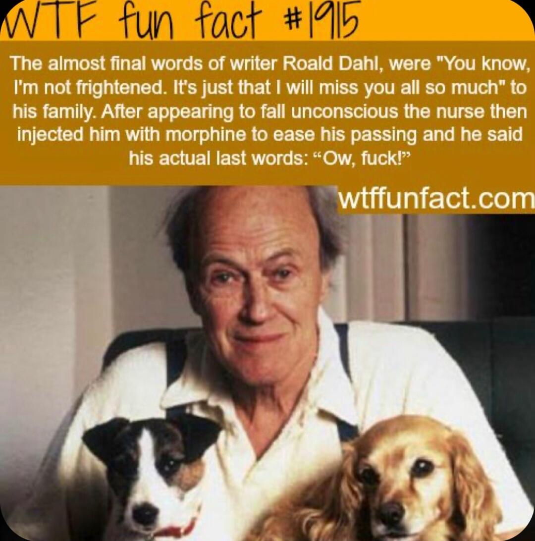 W TF tun tact 1415 B