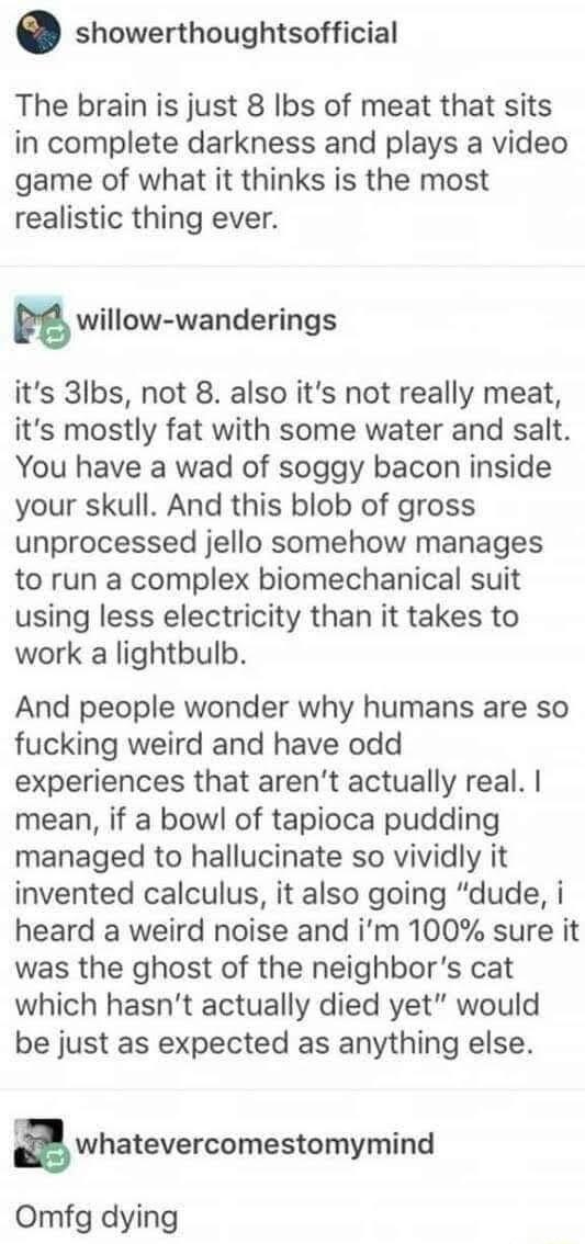showerthoughtsofficial The brain is just 8 Ibs of meat that sits in complete darkness and plays a video game of what it thinks is the most realistic thing ever m willow wanderings its 3lbs not 8 also its not really meat its mostly fat with some water and salt You have a wad of soggy bacon inside your skull And this blob of gross unprocessed jello somehow manages to run a complex biomechanical suit