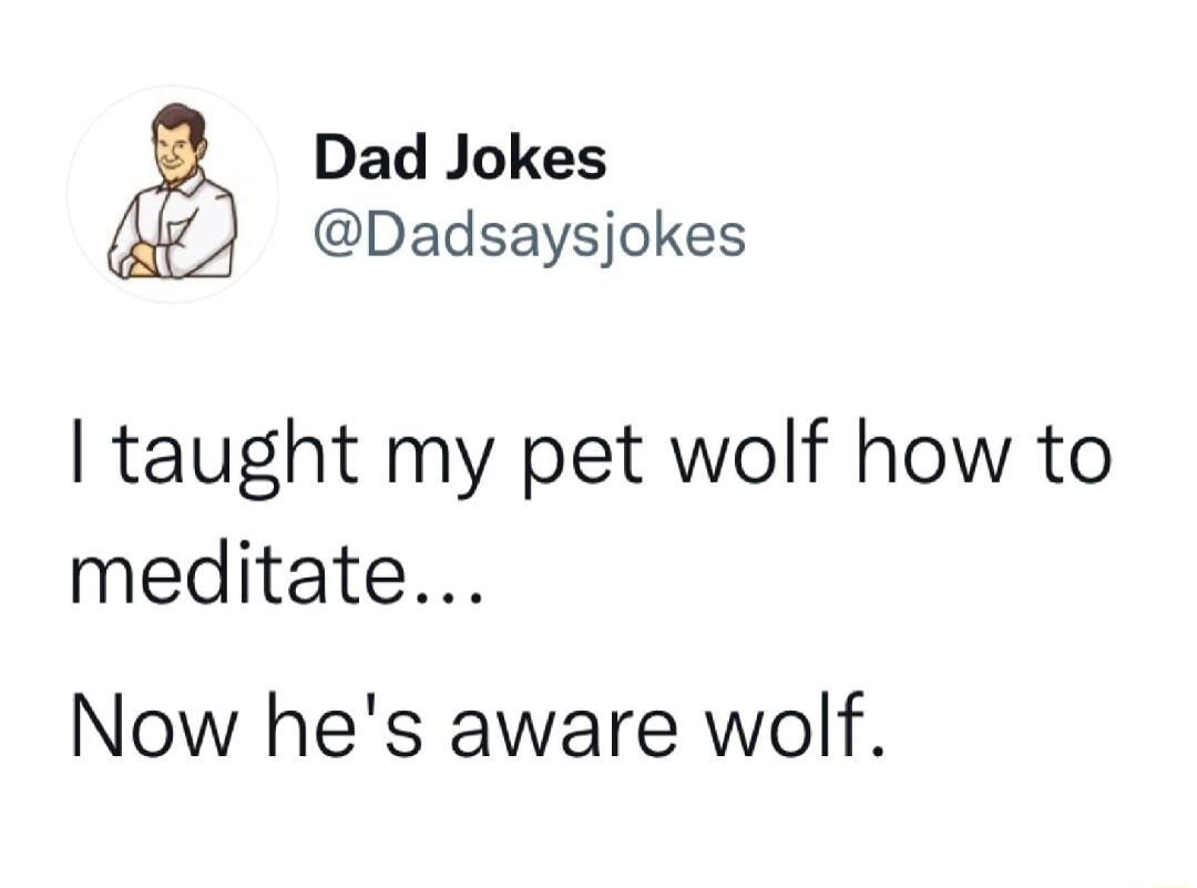 Dad Jokes Dadsaysjokes taught my pet wolf how to meditate Now hes aware wolf