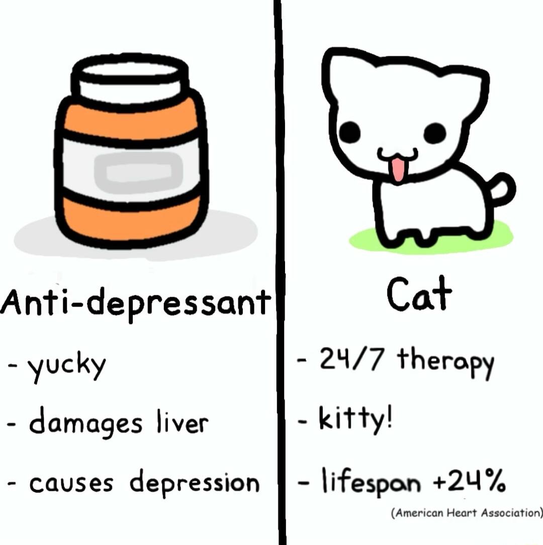 Anti depressant yucky 247 theropy damages liver kitty causes depression lifespon 2U American e
