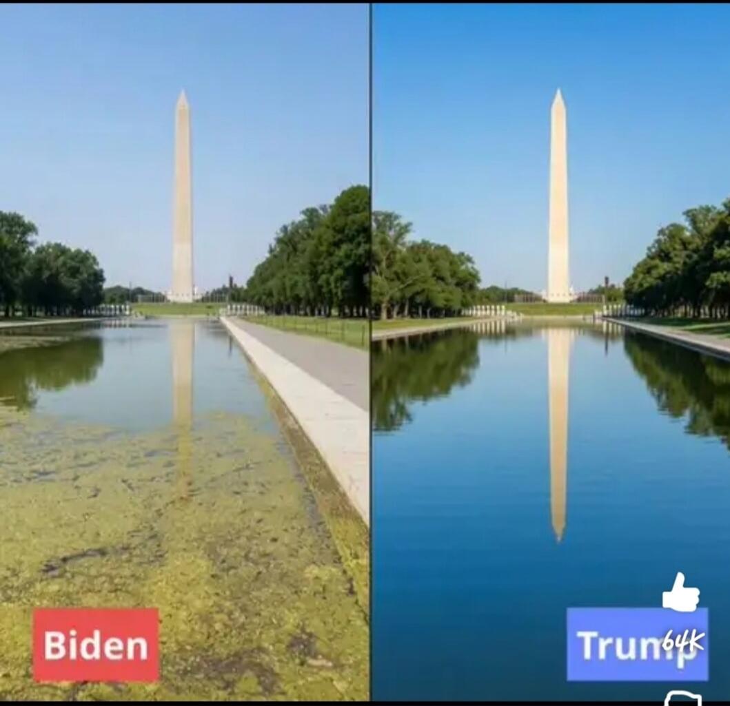 The image shows a split view of the Washington Monument and its reflecting pool. On the left side, the pool is covered in green algae, with the text 'Biden' below it. On the right side, the pool is clean and blue, with the text 'Trump' and a thumbs-up icon along with '64k' below it.