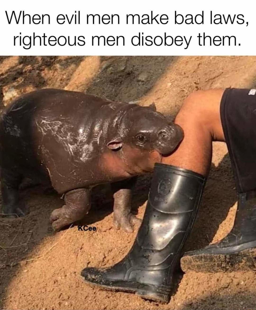 When evil men make bad laws righteous men disobey them