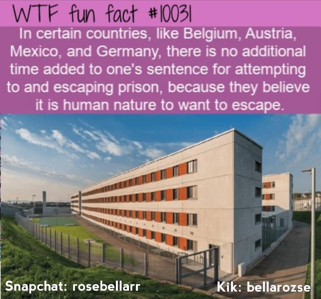 WTF fun fact 0031 Snapchat rosebellarr