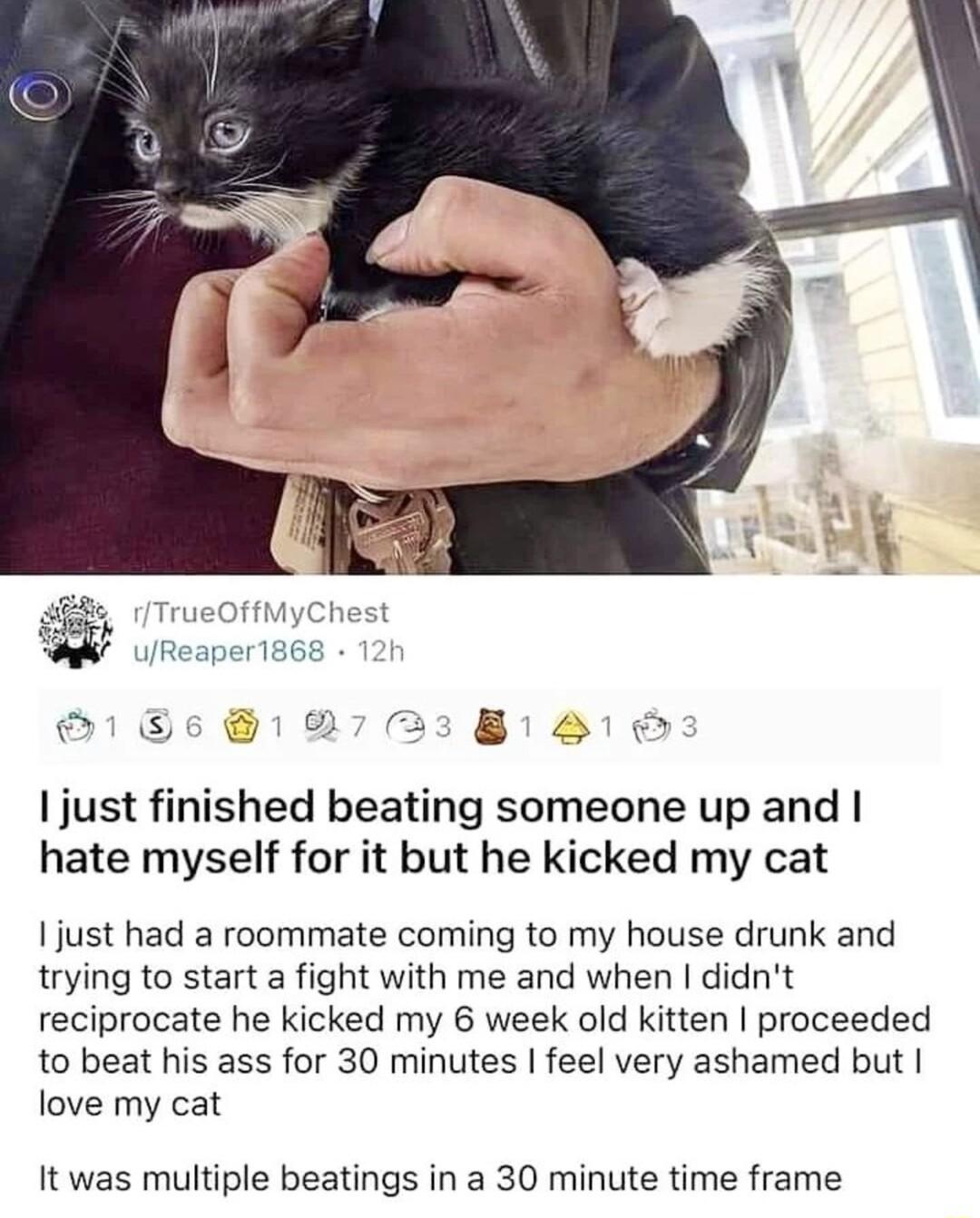 I just finished beating someone up and hate myself for it but he kicked my cat just had a roommate coming to my house drunk and trying to start a fight with me and when didnt reciprocate he kicked my 6 week old kitten proceeded to beat his ass for 30 minutes feel very ashamed but love my cat It was multiple beatings in a 30 minute time frame