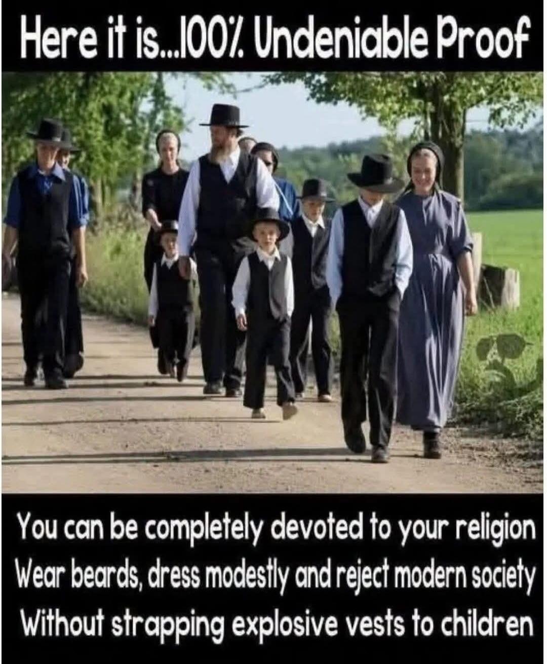 Here it is...100% Undeniable Proof. You can be completely devoted to your religion. Wear beards, dress modestly and reject modern society. Without strapping explosive vests to children.