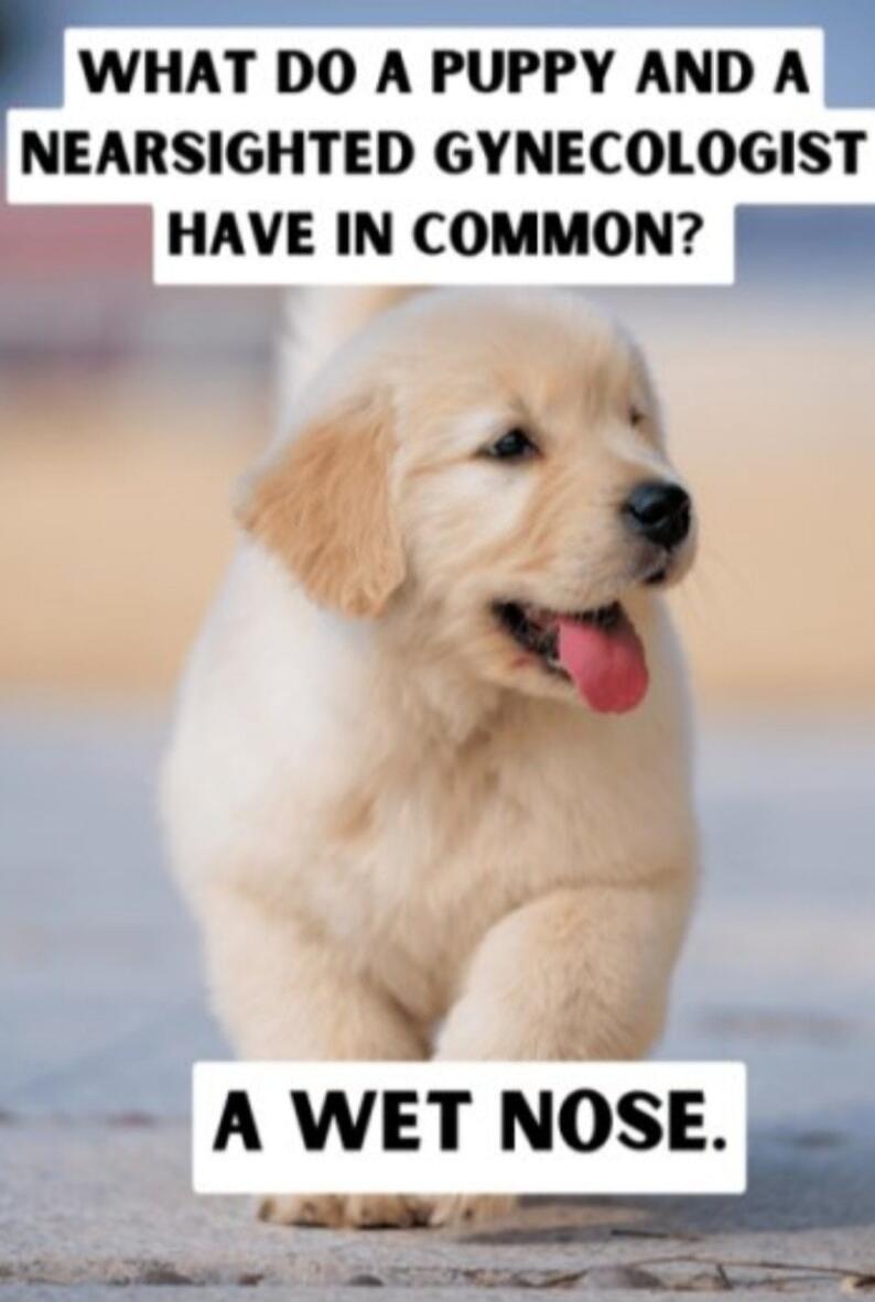 WHAT DO A PUPPY AND A NEARSIGHTED GYNECOLOGIST HAVE IN COMMON? A WET NOSE.