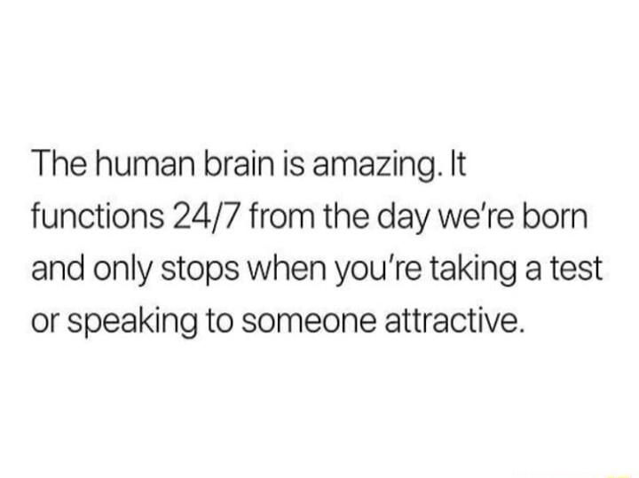 The human brain is amazing It functions 247 from the day were born and only stops when youre taking a test or speaking to someone attractive