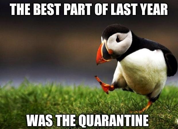 THE BEST PART OF LAST YEAR 0 ok 2 R a i 2 WAS THE QUARANTIN 3