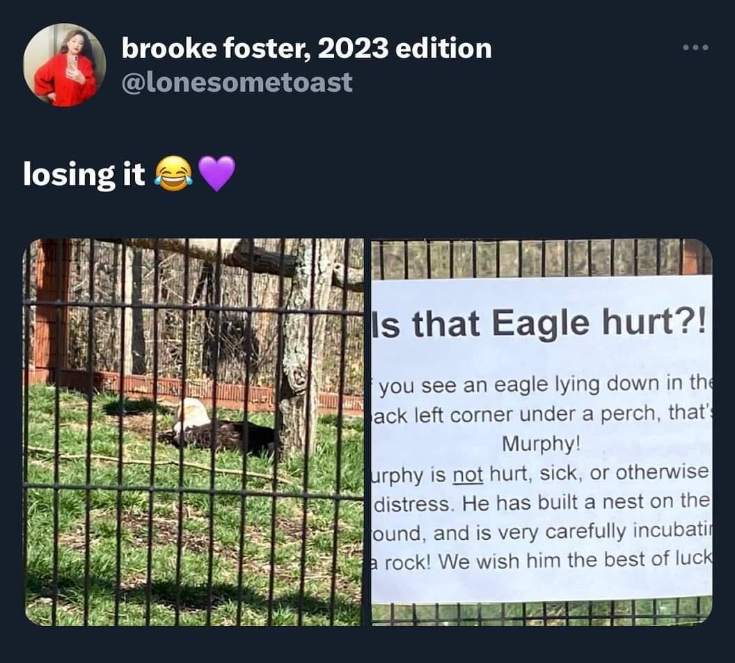 brooke foster 2023 edition lonesometoast