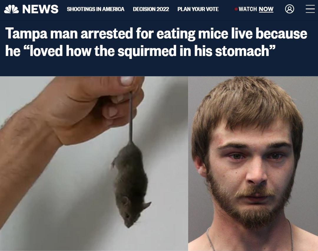 A NEWS stootines INAMERICA PLAN YOUR VOTE 7N G VoS T Y I Tampa man arrested for eating mice live because he loved how the squirmed in his stomach