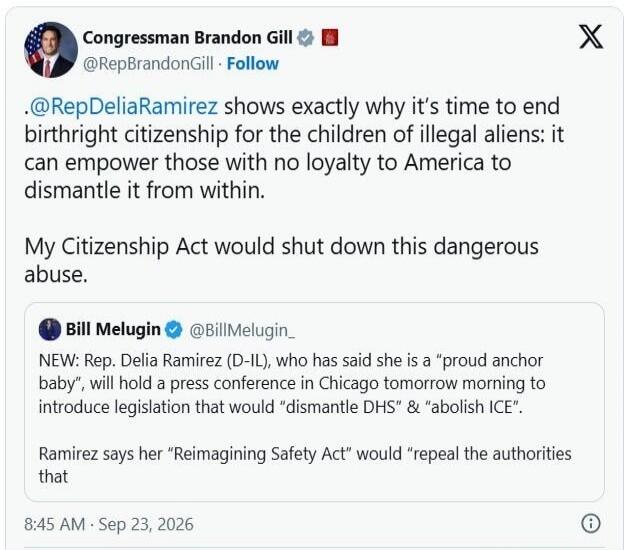 Congressman Brandon Gill: .@RepDeliaRamirez shows exactly why it's time to end birthright citizenship for the children of illegal aliens: it can empower those with no loyalty to America to dismantle it from within. My Citizenship Act would shut down this dangerous abuse. Bill Melugin: NEW: Rep. Delia Ramirez (D-IL), who has said she is a 