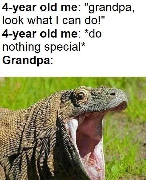 4 year old me grandpa look what can do 4 year old me do nothing special Grandpa