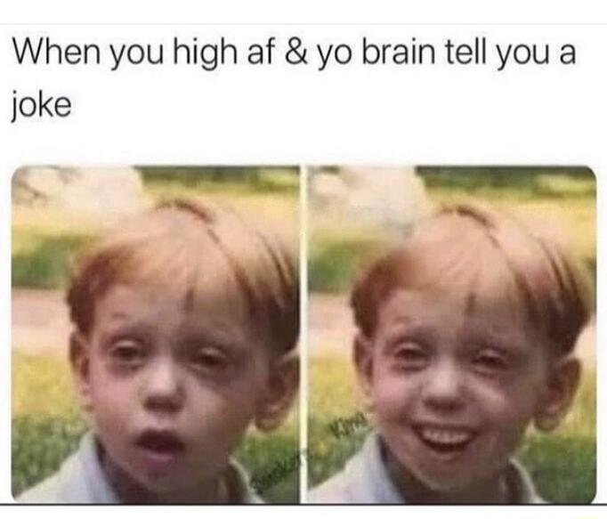 When you high af yo brain tell you a joke T