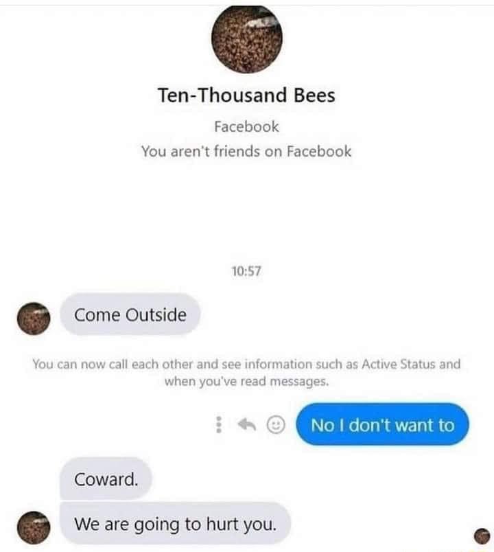 Ten Thousand Bees Facebook You arent friends on Facebook 1057 Come Outside Coward We are going to hurt you