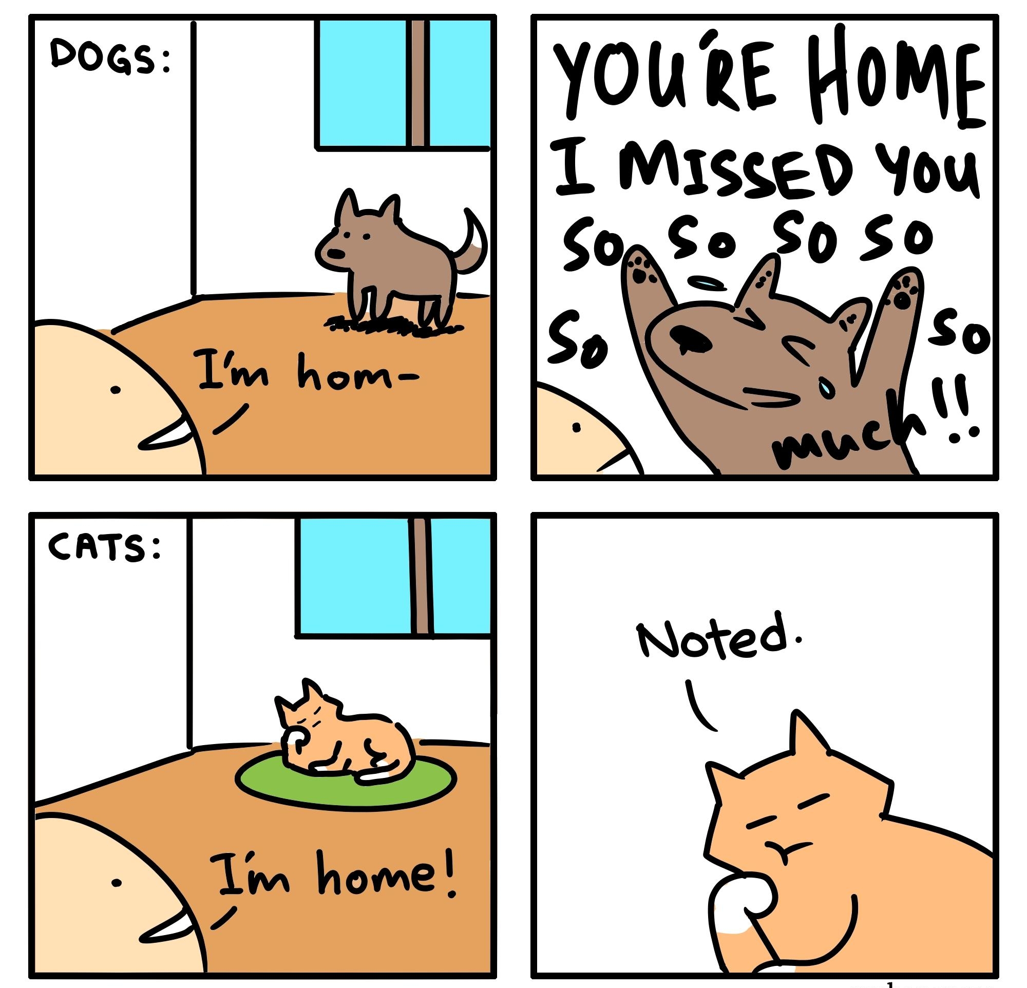 Doas YOURE Homg T Mi1sged You