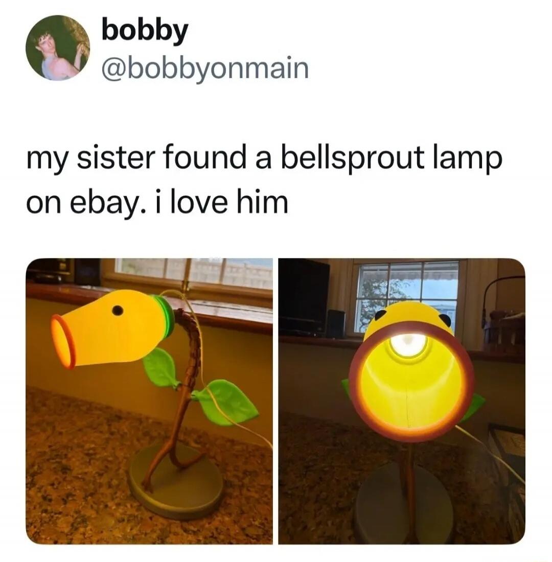 my sister found a bellsprout lamp on ebay. i love him