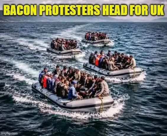BACON PROTESTERS HEAD FOR UK