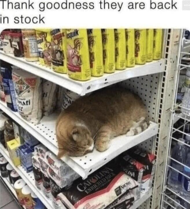 Thank goodness they are back in stock