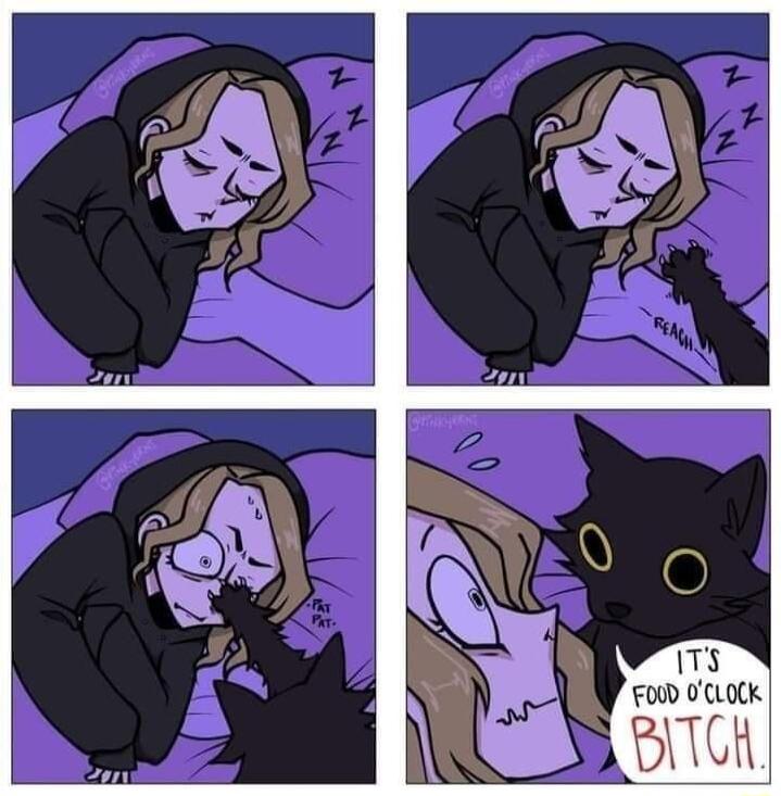 17 FOUD 0CLOCK BITGH