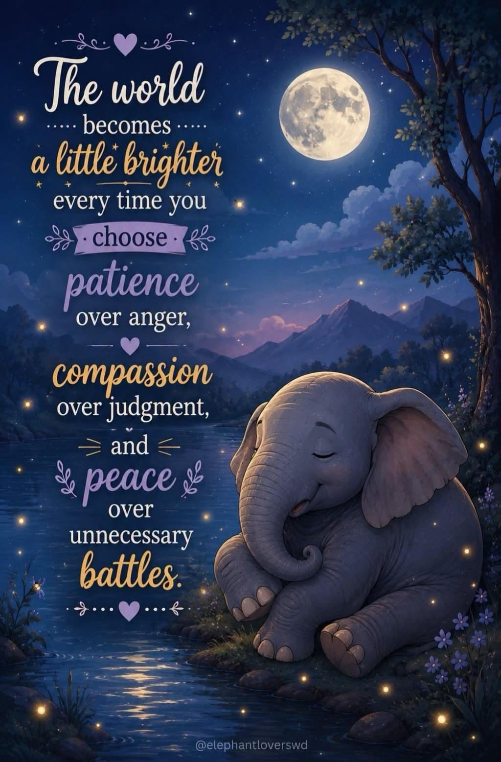 The world becomes a little brighter every time you choose patience over anger, compassion over judgment, and peace over unnecessary battles. @elephantloverswd