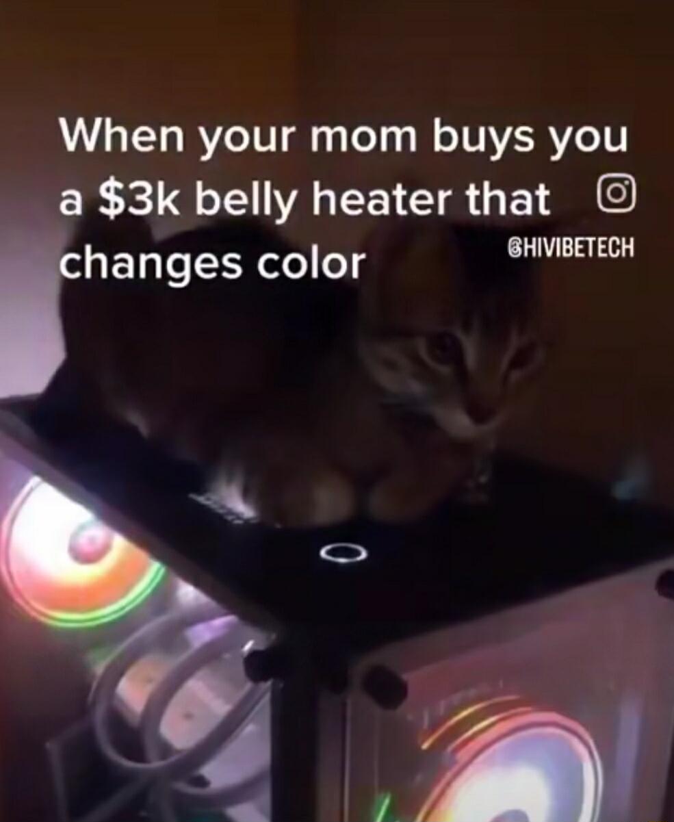 When your mom buys you a 3k belly heater that hanges color S