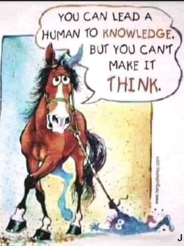 4 YOU CAN LEAD A HUMAN TO KNOWLEDGE J BUT YOU CANT MAKE IT THINK