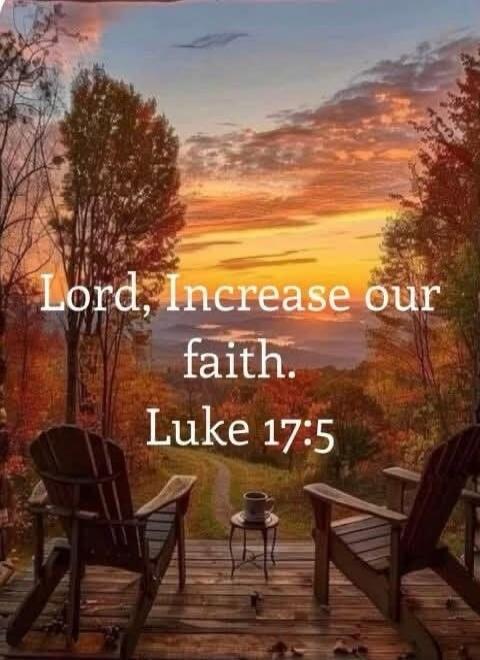 Lord, Increase our faith. Luke 17:5