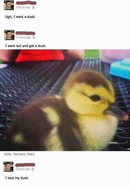 E Ugh 1 want a duck 1 went out and got a duck Tlove my duck
