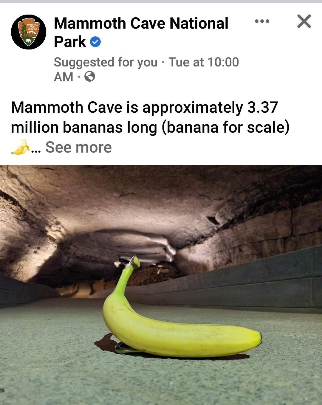 Mammoth Cave National X Park Suggested for you Tue at 1000 AM Mammoth Cave is approximately 337 million bananas long banana for scale See more