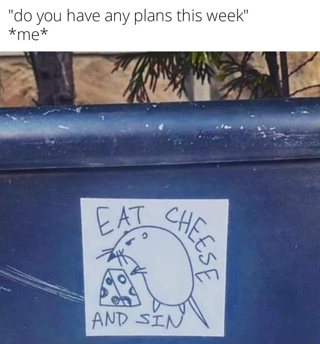 do you have any plans this week me