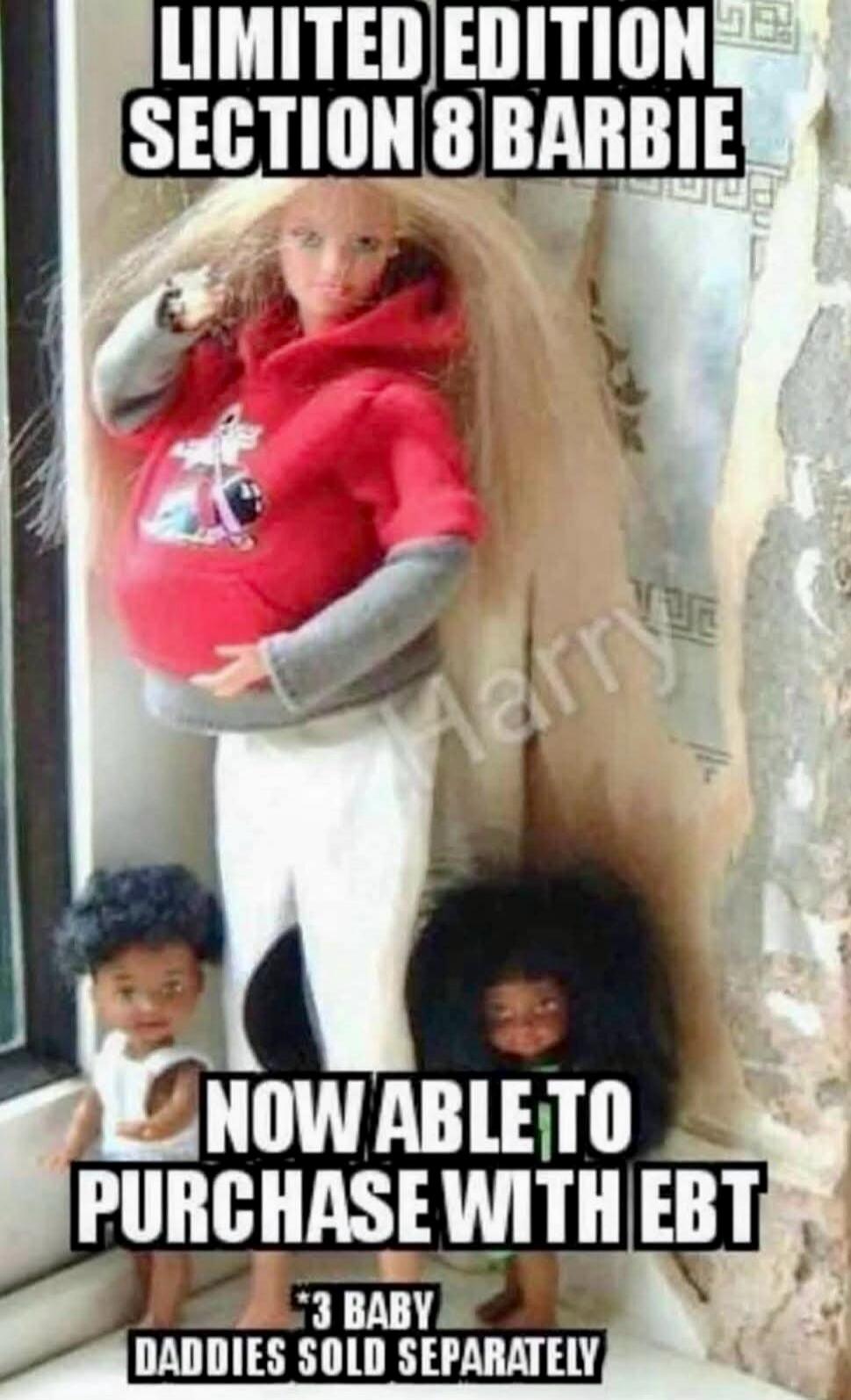 LIMITED EDITION SECTION 8 BARBIE NOW ABLE TO PURCHASE WITH EBT *3 BABY DADDIES SOLD SEPARATELY