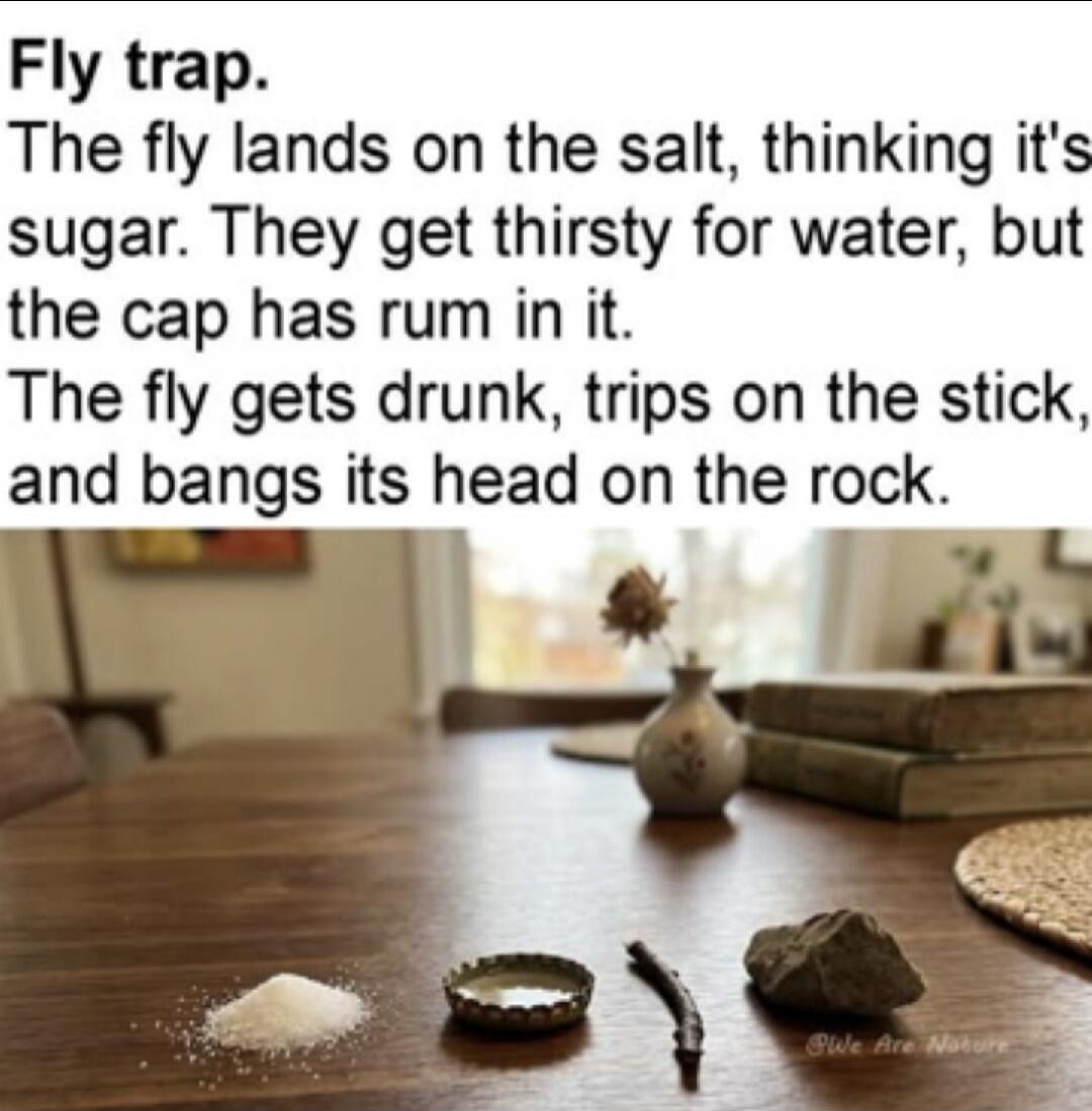 Fly trap. The fly lands on the salt, thinking it's sugar. They get thirsty for water, but the cap has rum in it. The fly gets drunk, trips on the stick, and bangs its head on the rock.