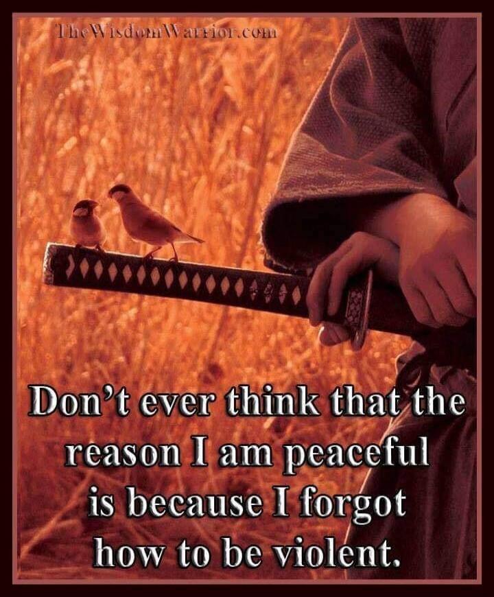 TheWisdomWarrior.com Don't ever think that the reason I am peaceful is because I forgot how to be violent.