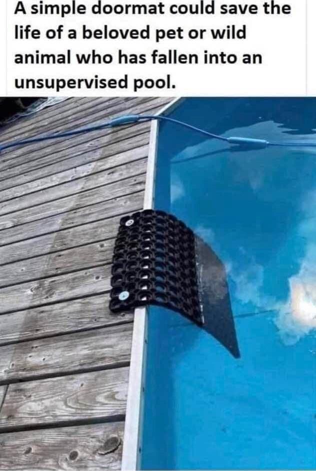 A simple doormat coul life of a beloved pet or wild animal who has fallen into an unsupervised pool