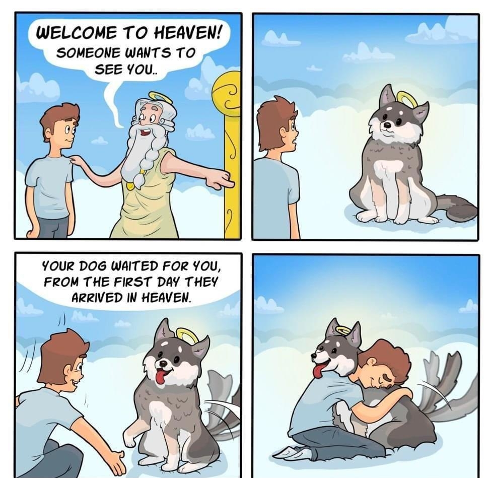 WELCOME TO HEAVEN SOMEONE WANTS TO SEE YOU YOUR DOG WAITED FOR YOU FROM THE FIRST DAY THEY ARRIVED IN HEAVEN AWESOME TALES COMICS