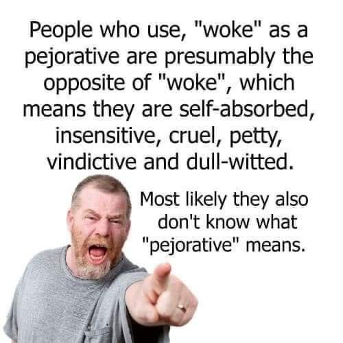 People who use woke as a pejorative are presumably the opposite of woke which means they are self absorbed insensitive cruel petty vindictive and dull witted Most likely they also dont know what pejorative means
